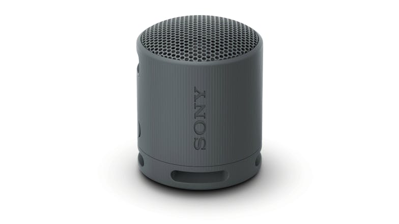 Sony SRS-XB100 Portable Bluetooth Speaker - Black