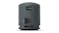 Sony SRS-XB100 Portable Bluetooth Speaker - Black