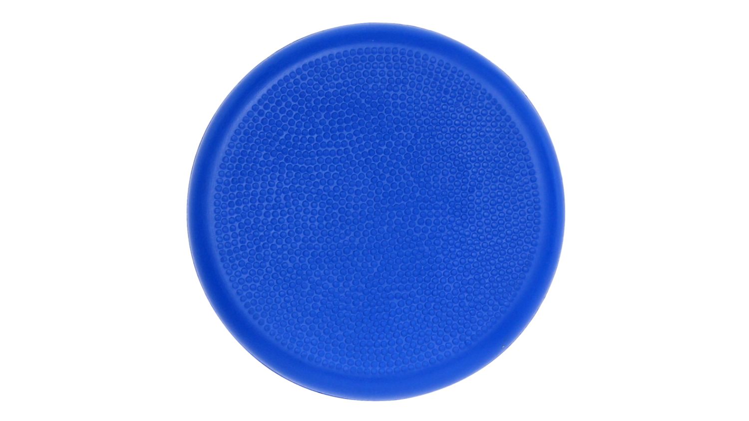 Avaro Soft Foam Flying Disk - Blue