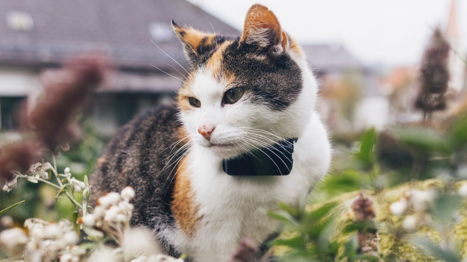 Tractive Cat Mini GPS Tracker - Midnight Blue