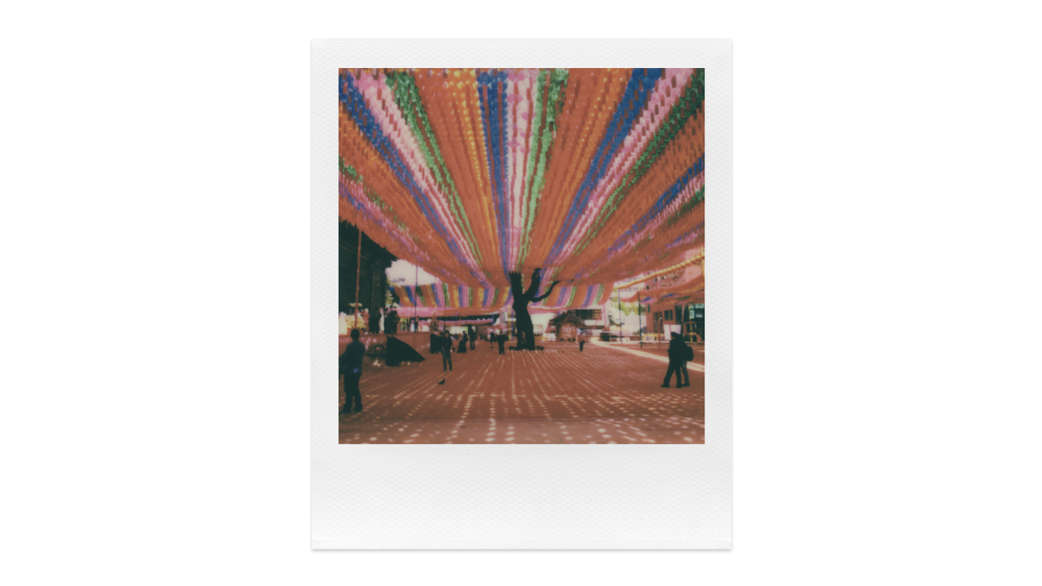 Polaroid iType Colour Film 5 Pack (40 Photos) Harvey Norman New