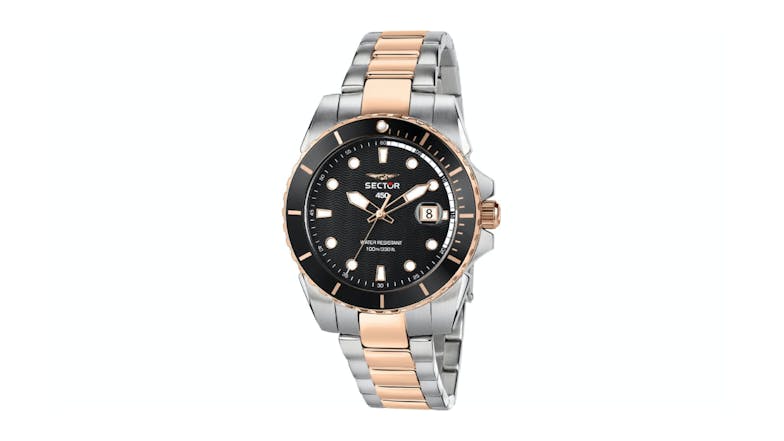 Sector 450 Two Tone Date Watch