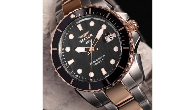 Sector 450 Two Tone Date Watch