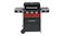 Gas2Coal 3 Burner Barbeque