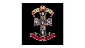 Guns N Roses - Appetite For Destruction Vinyl Album