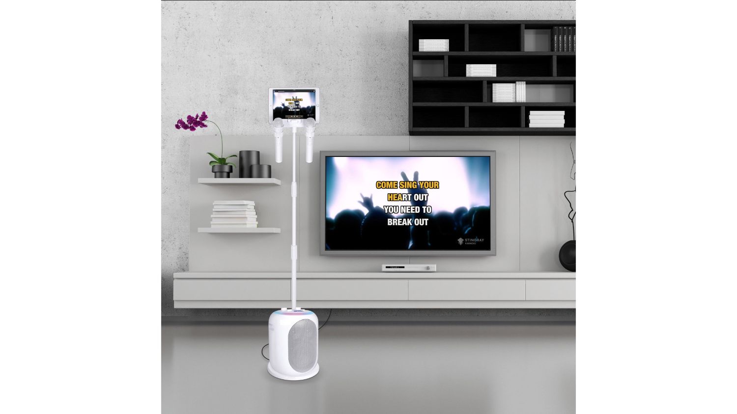 Singing Machine Karaoke Home Stage with Microphones, Bluetooth