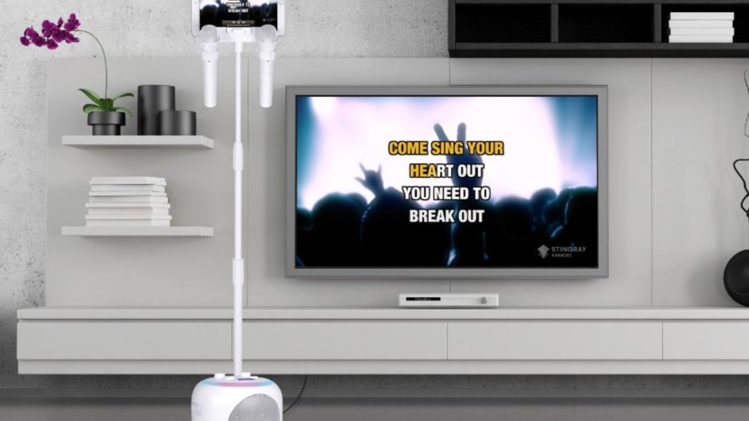 Singing Machine Harvey Norman New Zealand