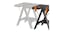 Pegasus Portable Multi-Function Folding Table