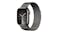 Apple Watch Series 9 - Graphite Stainless Steel Case with Graphite Milanese Loop (41mm, Cellular & GPS, Bluetooth)