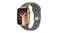 Apple Watch Series 9 - Gold Stainless Steel Case with Clay Sport Band (45mm, Cellular & GPS, Bluetooth, Small-Medium Band)