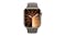 Apple Watch Series 9 - Gold Stainless Steel Case with Clay Sport Band (45mm, Cellular & GPS, Bluetooth, Small-Medium Band)