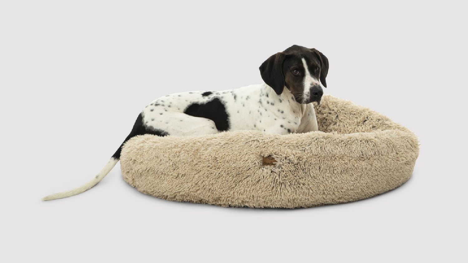 Charlie's Shaggy Faux Fur Round Pet Bed Medium - Cream