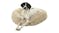 Charlie's Shaggy Faux Fur Round Pet Bed Large - Cream