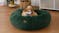 Charlie's Shaggy Faux Fur Round Pet Bed Small - Eden Green