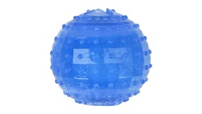 Charlie's Freezy Ball Dog Toy - Blue