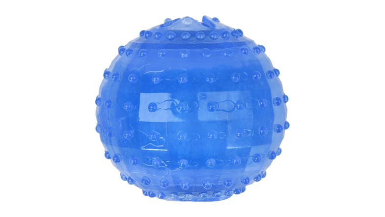 Charlie's Freezy Ball Dog Toy - Blue