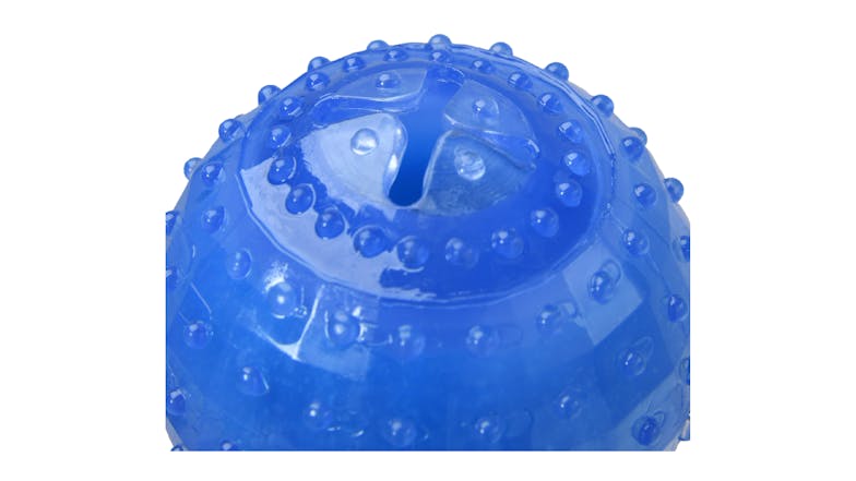 Charlie's Freezy Ball Dog Toy - Blue