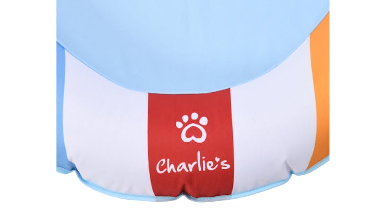 Charlie's Pet Pool Floatie 140 x 90cm - Beach Ball Pattern