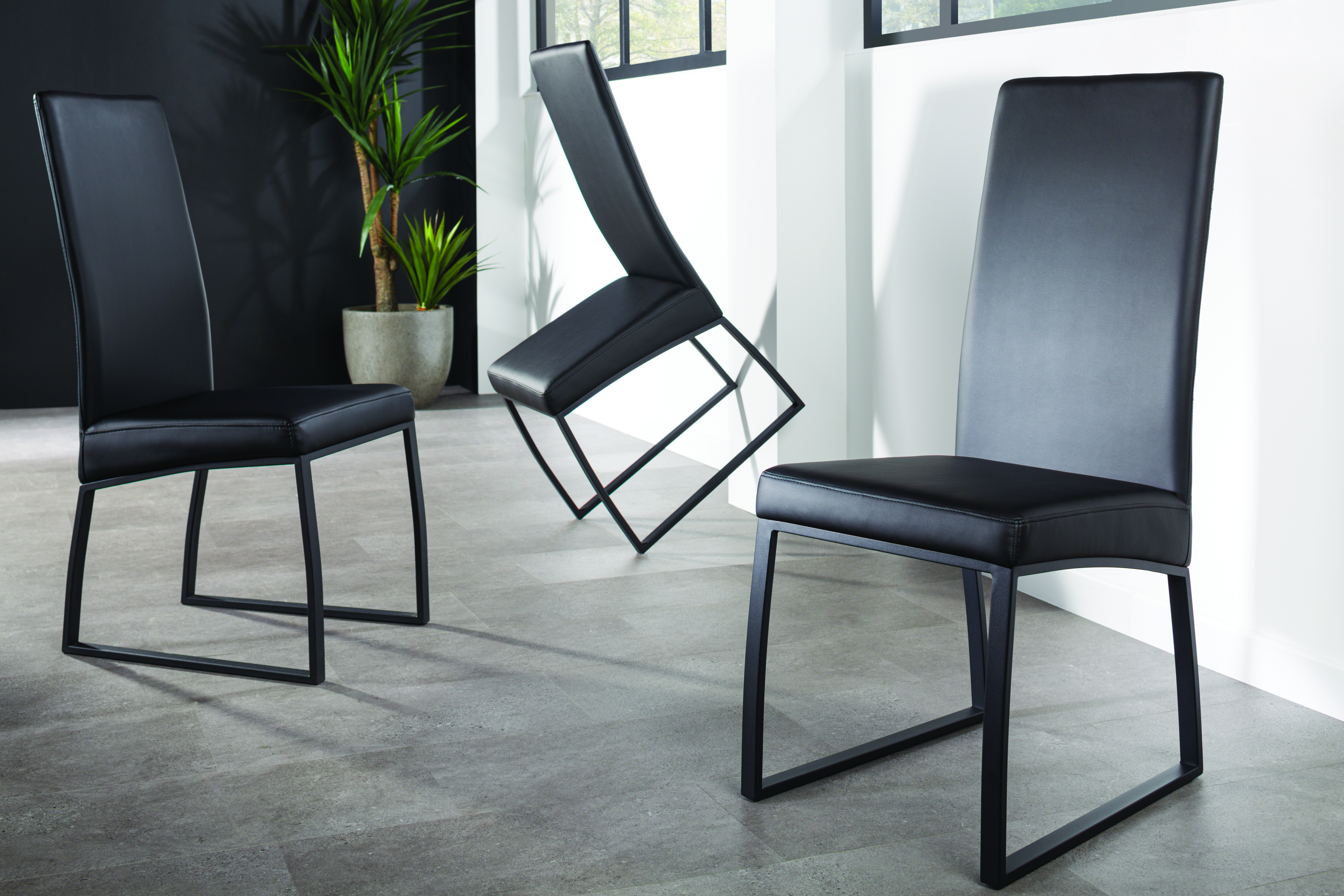 Harvey norman discount black dining chairs