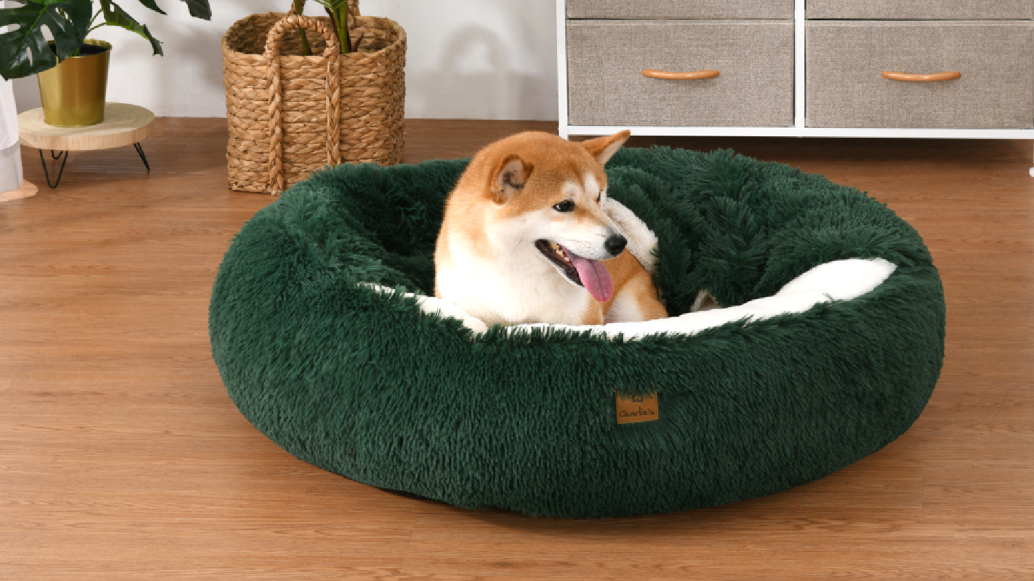 Charlie's "Snookie" Faux Fur Pet Bed w/ Hood Large - Green