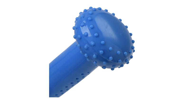 Charlie's Thirst Quencher Cooling Dumbell Dog Toy - Blue