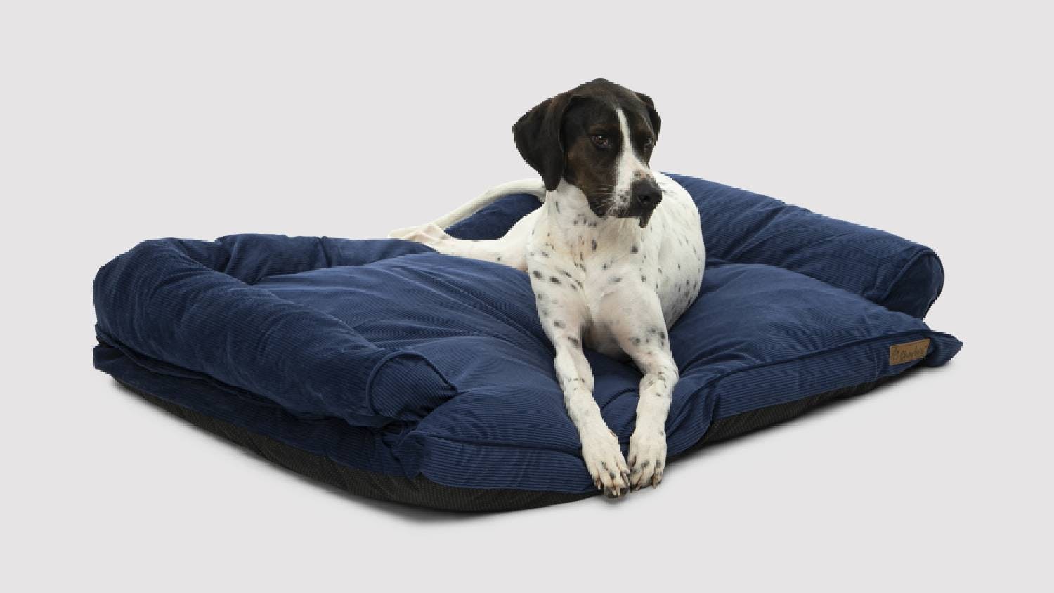 Charlie's "Ripley" Corduroy Pet Sofa Medium - Navy