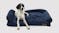 Charlie's "Ripley" Corduroy Pet Sofa Large - Navy