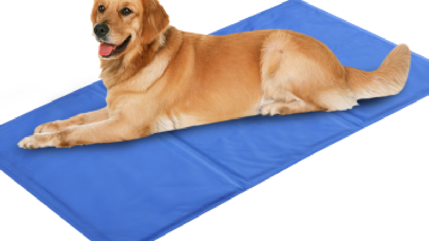 Furry Best Friend Cooling Pet Mat Extra Large - Blue