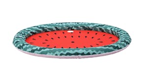 Charlie's Pet Pool Floatie 160 x 120cm - Watermelon