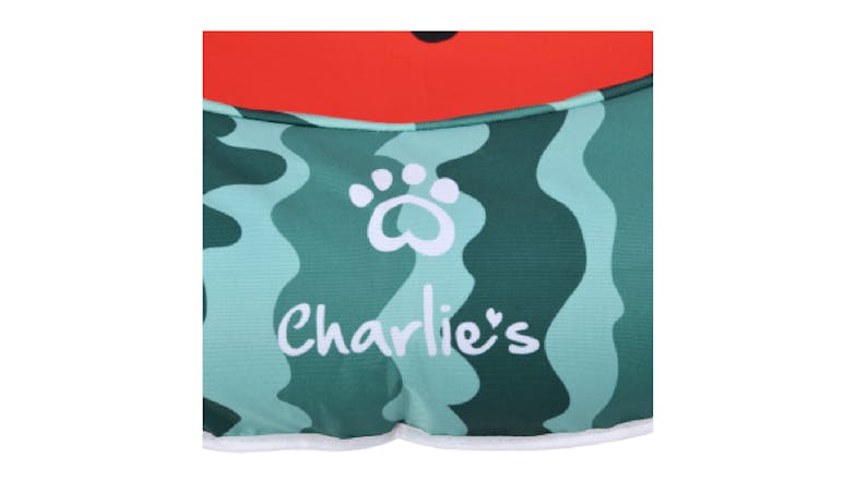 Charlie's Pet Pool Floatie 160 x 120cm - Watermelon