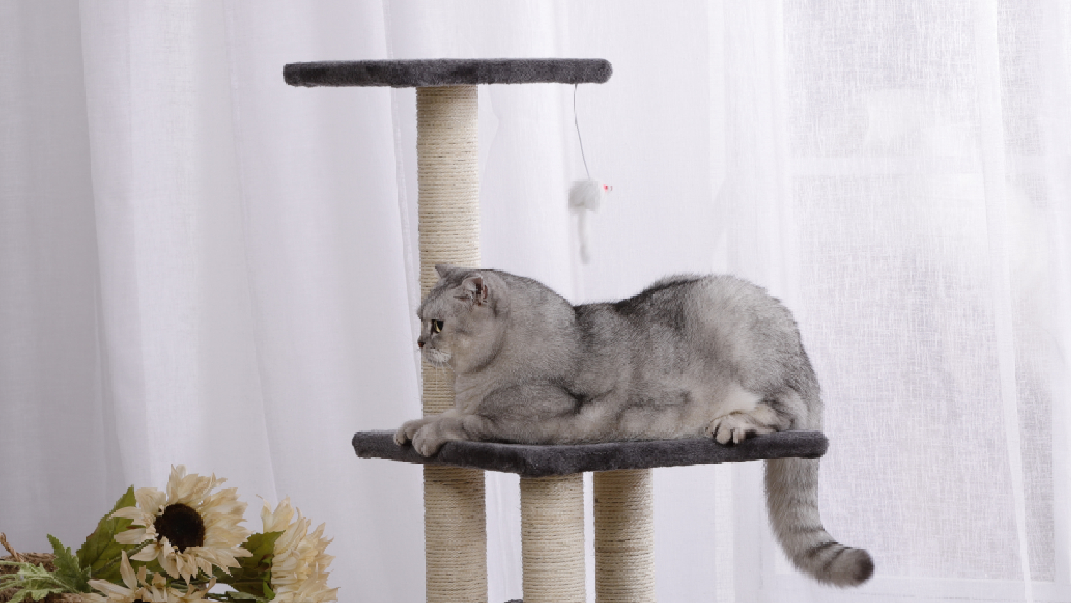 Charlie's 3 Tier Cat Tree w/ Tunnel, Toy, Scratching Posts - Charcoal