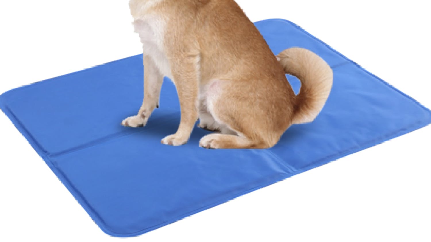 Furry Best Friend Cooling Pet Mat Medium - Blue