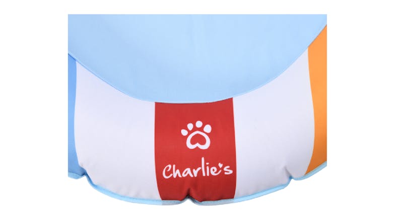 Charlie's Pet Pool Floatie 160 x 120cm - Beach Ball Pattern