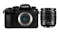 Panasonic Lumix DC-G90 Mirrorless Camera with Lumix G Vario 12-60mm f/3.5-5.6 Lens