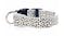 Hod Leopard Print Led Dog Collar Large - White