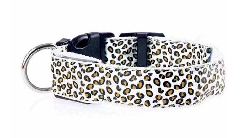 Hod Leopard Print Led Dog Collar Medium - White