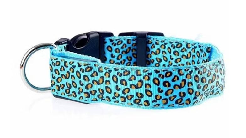 Hod Leopard Print Led Dog Collar Medium - Blue