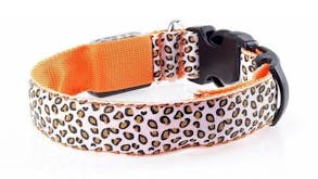 Hod Leopard Print Led Dog Collar Medium - Orange