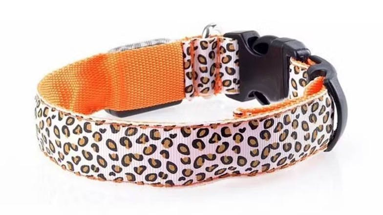 Hod Leopard Print Led Dog Collar X-Large - Orange