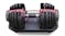 PROTRAIN Adjustable Dumbbell 2.5 - 24kg - Black/Red