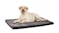 TSB Living Memory Foam Pet Bed Extra Large - D4