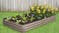 TSB Living Garden Bed 2.4 x 1.2 x 0.3m