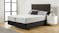 Posture Advance Firm Queen Mattress and Base by SleepMaker