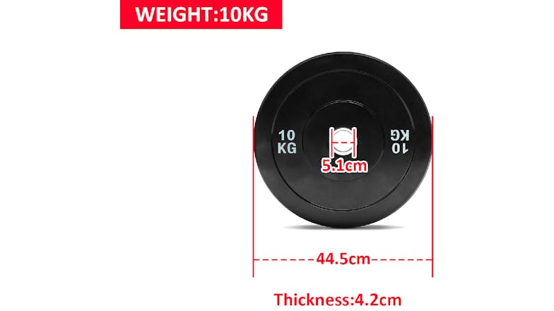 PROTRAIN Solid Rubber Weight Plates 10kg 2pcs.