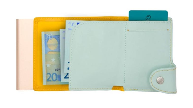 C-Secure RFID Protected Card Holder - Pastel