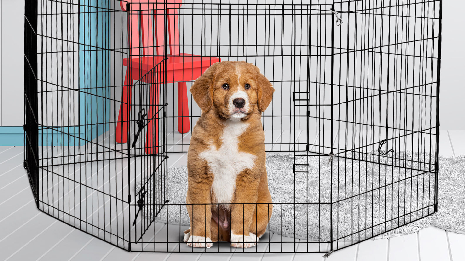 4Paws Collapsable 8 Panel Wire Pet Pen 76cm