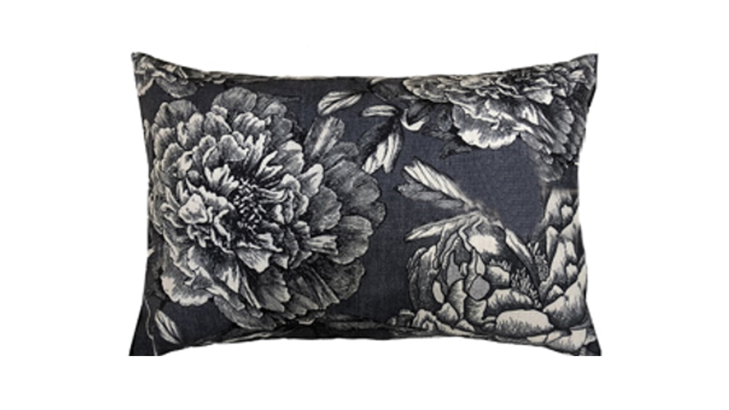 Sofia Cushion Harvey Norman New Zealand