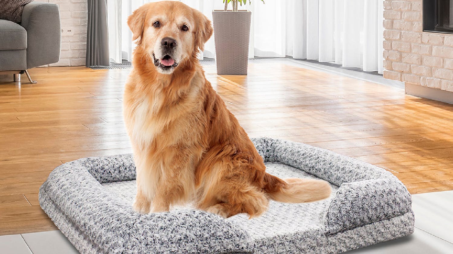 TSB Living Memory Foam Pet Bed Large - B23