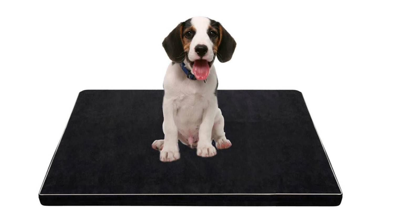 TSB Living Memory Foam Pet Bed Large - A5