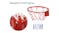 PROTRAIN Portable Adjustable Basketball Hoop 2.5m